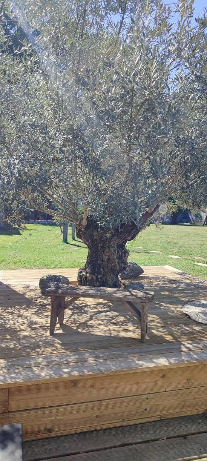 La Villa O Bois - Billard & Baby-Foot - Face A La Foret Séméac Dış mekan fotoğraf